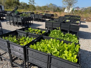 「FARMily」社区农圃