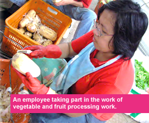 An empolyee taking part in the work of vegetable and fruit processing work