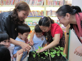 东华三院高德根纪念幼稚园绿化组志愿者到校为幼儿讲解及示范移植菜苗、松土及浇水的技巧。